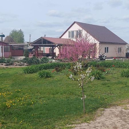 Садиба Зеленого Туризму «Золота Рибка» Medvedevka Buitenkant foto