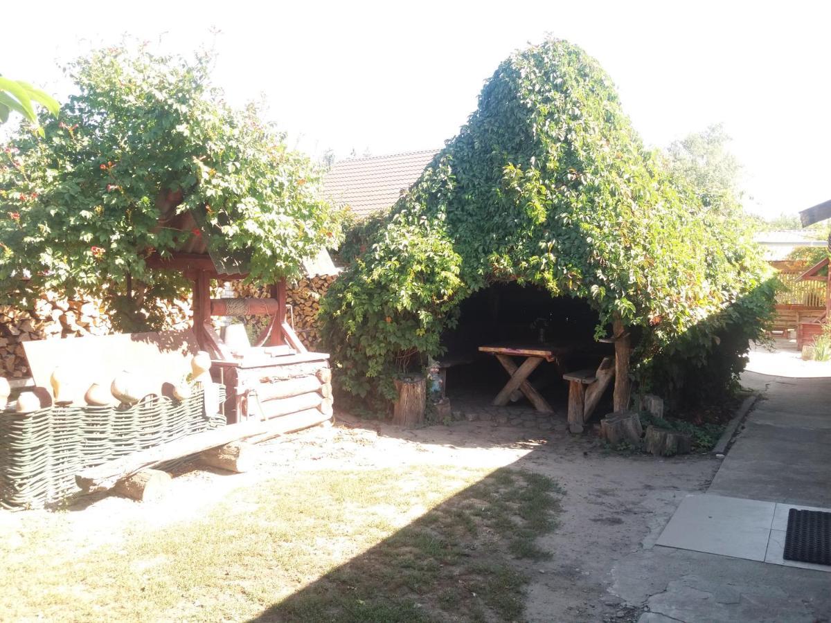 Садиба Зеленого Туризму «Золота Рибка» Medvedevka Buitenkant foto