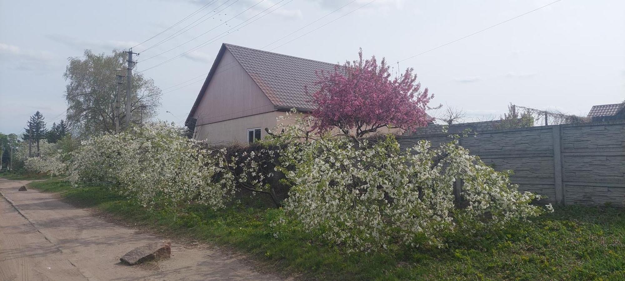 Садиба Зеленого Туризму «Золота Рибка» Medvedevka Buitenkant foto