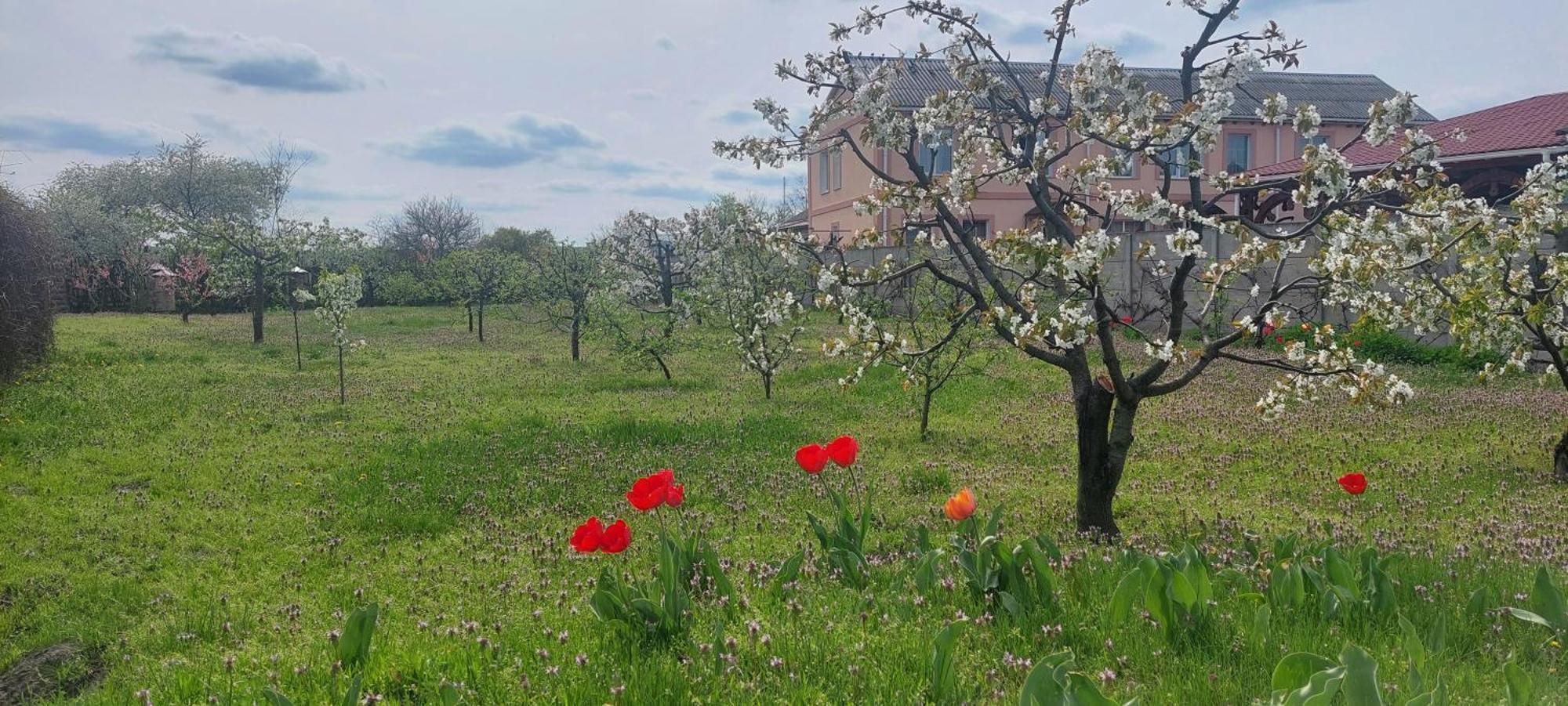 Садиба Зеленого Туризму «Золота Рибка» Medvedevka Buitenkant foto