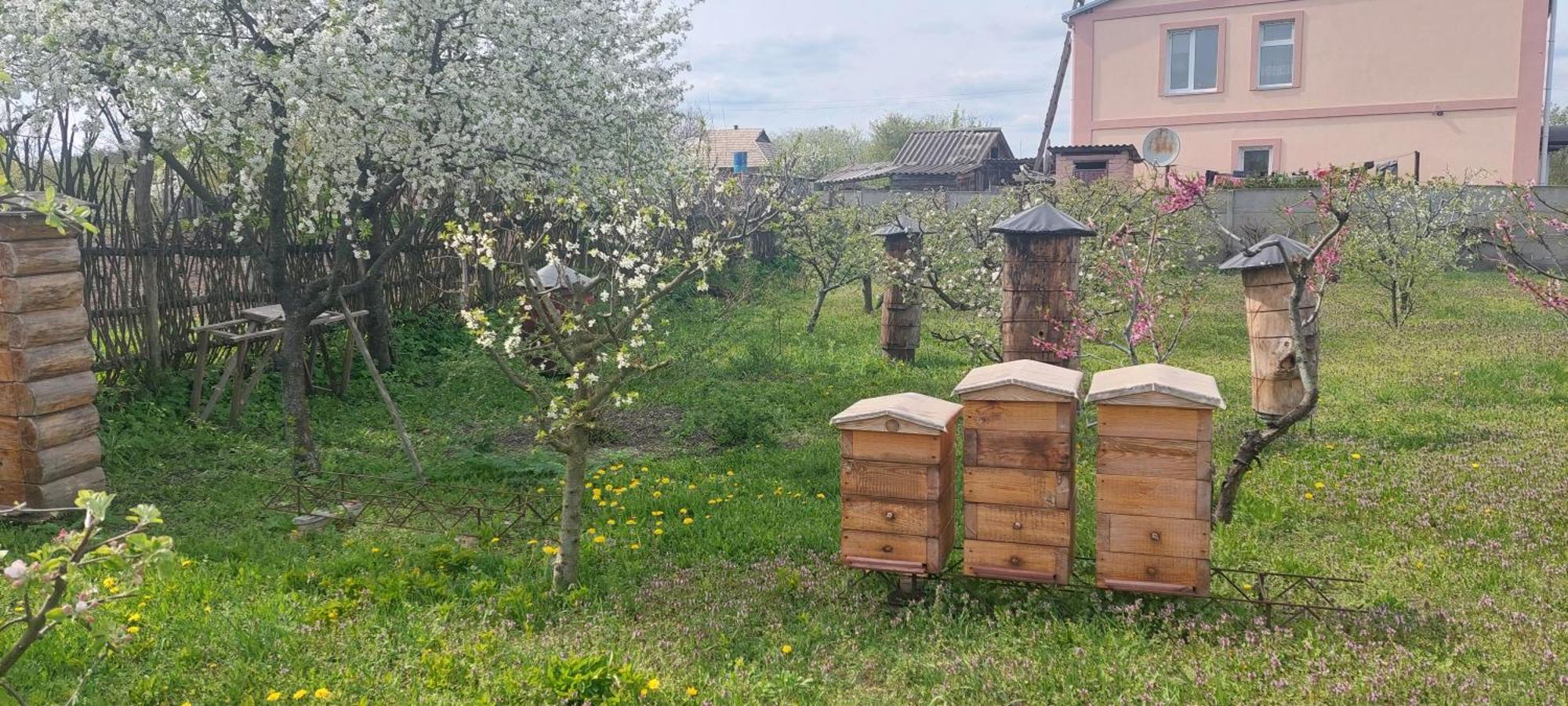 Садиба Зеленого Туризму «Золота Рибка» Medvedevka Buitenkant foto