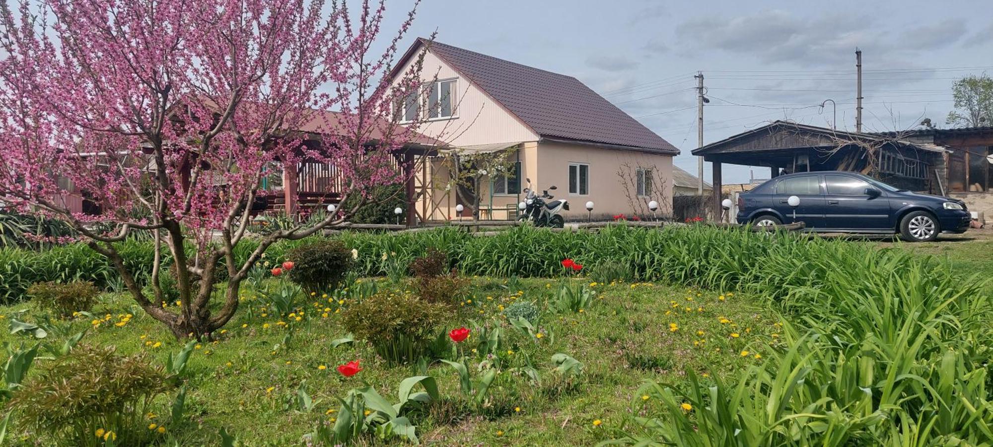 Садиба Зеленого Туризму «Золота Рибка» Medvedevka Buitenkant foto